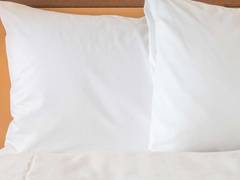 Zimmerbild 15