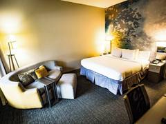 Zimmerbild 0