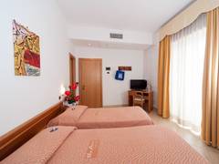 Zimmerbild 9