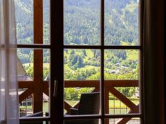 Zimmerbild 18