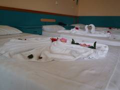 Zimmerbild 0