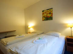 Zimmerbild 8
