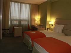 Zimmerbild 10