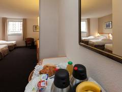 Zimmerbild 33