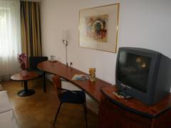 Zimmerbild 8