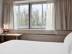 Zimmerbild 16