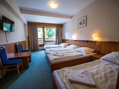 Zimmerbild 11