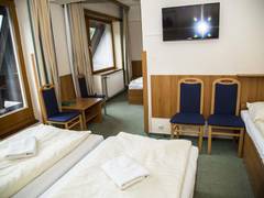 Zimmerbild 9
