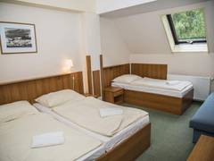 Zimmerbild 6