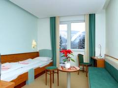 Zimmerbild 13
