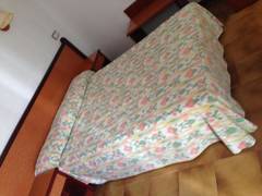 Zimmerbild 11