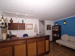 Zimmerbild 13