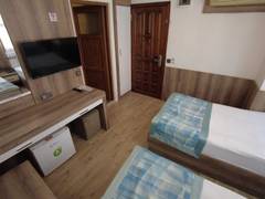 Zimmerbild 11