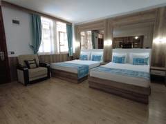 Zimmerbild 12