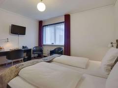 Zimmerbild 11