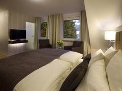 Zimmerbild 10