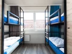 Zimmerbild 7