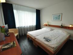 Zimmerbild 7