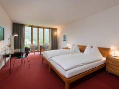 Zimmerbild 2