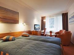 Zimmerbild 8