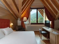 Zimmerbild 23