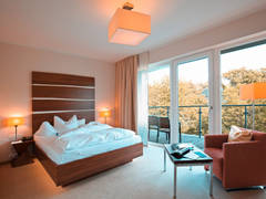 Zimmerbild 10