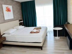 Zimmerbild 8