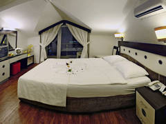 Zimmerbild 2