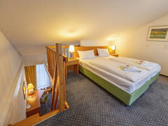 Zimmerbild 5