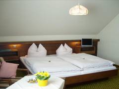 Zimmerbild 4