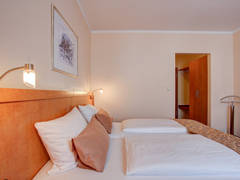 Zimmerbild 6