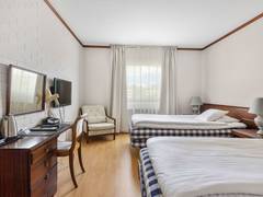 Zimmerbild 11