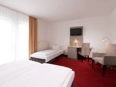 Zimmerbild 10