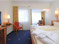 Zimmerbild 5