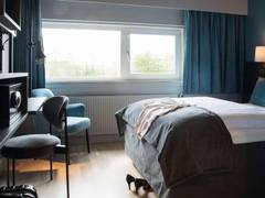 Zimmerbild 6