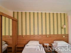 Zimmerbild 3
