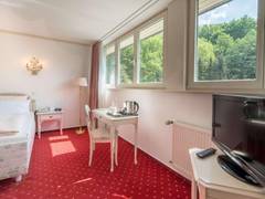 Zimmerbild 17
