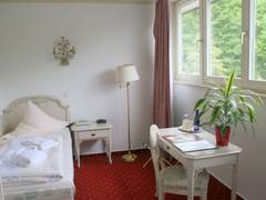 Zimmerbild 11