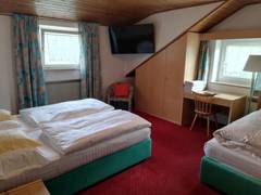 Zimmerbild 14