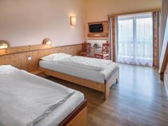 Zimmerbild 6