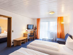 Zimmerbild 12