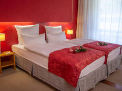 Zimmerbild 2