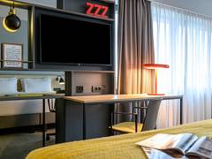 Zimmerbild 11