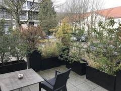 Zimmerbild 16