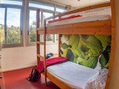 Zimmerbild 8