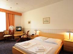 Zimmerbild 12