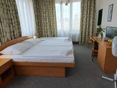 Zimmerbild 6