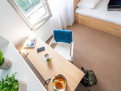 Zimmerbild 6
