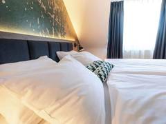 Zimmerbild 10