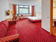 Zimmerbild 11